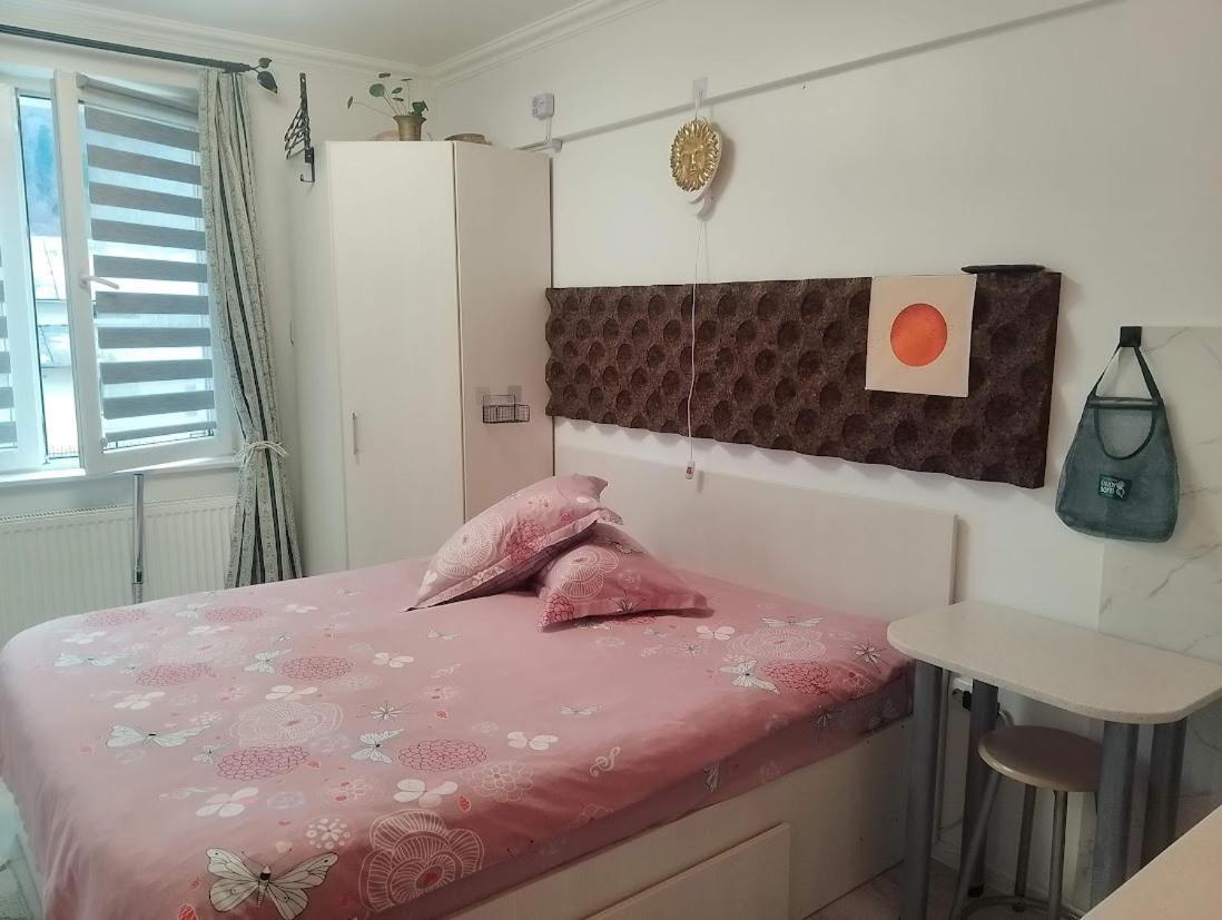 1 Small Studio, Central, Self Check In Sinaia Extérieur photo